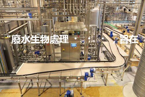 “廢水生物處理，旨在凈化水源，守護碧水藍天”